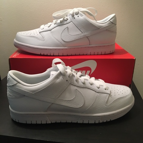 Nike Other - NWT Nike Dunk Low